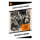 Sclaverei in Amerika: Plantagenleben und Sklavenschicksale im 19. Jahrhundert – ein historischer Roman aus den Südstaaten der Kolonialzeit