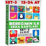 scntoys Bebeğimin Ilk Zeka Kartları Set-3 / 12-24 Ay Eğitici Kartlar Bebekler İçin Eğitici Oyuncak