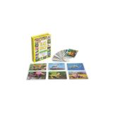 scntoys Eğitici Hafıza Kartları İlk 50 Hayvan Kelime Zeka Kartları - Bebekler İçin Eğlenceli Aktivite Set