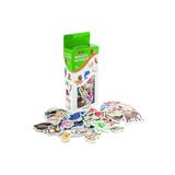 scntoys Manyetik Mıknatıslı Hayvanlar Buzdolabına Yapışan Magnet Hayvanlar Eğitici Hayvanları Tanıma Öğrenme