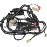 Scooter Gomax Elektrık Tesısatı Orj