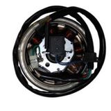 SCOOTER MANYETO (ALTERNATÖR) KOMPLE 8 Lİ