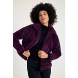Scorp Shine Casual Kadın Peluş Mont Mor