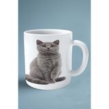 Scottish Foldi Kedi Isimli Kişiye Özel Baskılı Kupa Bardak Model 6