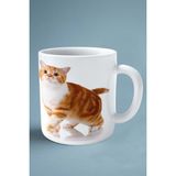 Scottish Straight Kedi Isimli Kişiye Özel Baskılı Kupa Bardak Model 1