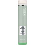 Screen Hacim Veren Şampuan Advanced Boosting Complex Amplify Shampoo 1000 ml