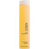 Screen Pure Argan Oil Treatment Silkening Shampoo 250 ml – Argan Yağlı Parlaklaştırıcı Şampuan