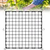 Scrog File, Bitki Yetiştirme Ağı, (150 X 150 Cm) Elastik Kafes Ağı, 6 Kancalı, Elastik Ağ Kafesi, Bitki Yetiştirme Çadırı, İç Mekan Bitkisi, Hidroponik Yetiştirme Odası, Elastik File