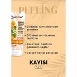 Scrub, Kayısı Parçacıklı Yüz, Vücut Peeling, Ölü Hücre Temizleme, 75 Ml