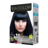 Sea Color 1.1 Mavi Siyah 2 Adet Saç Boyası+Tarak-Fırça