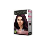 Sea Color 2 Tüp Krem Saç Boyası Seti Patlıcan Moru No:3.66 RT-RYL-ARSEACLR366