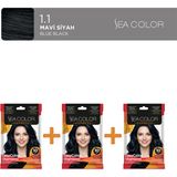 Sea Color 3'lü Express Amonyaksız Şampuan Boya, Şampuan Kolaylığında Saç Boyama 1.1 Mavi Siyah
