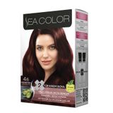Sea Color 4.6 Kestane Kızılı Saç Boyası Seti