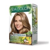 Sea Color Amonyaksız Saç Boyası 8.3 Bal Köpüğü