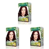 SEA COLOR Amonyaksız, Vegan, Doğal, Besleyici Kalıcı Saç Boyası%100 Beyaz Kapama (1 PAKET 2 x 50 ml Boya & OKSİDAN) (Kestane Kızılı 4.6) (3 paketi)