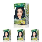 SEA COLOR Amonyaksız, Vegan, Doğal, Besleyici Kalıcı Saç Boyası%100 Beyaz Kapama (1 PAKET 2 x 50 ml Boya & OKSİDAN) (Mavi Siyah 1.1) (4 paketi)