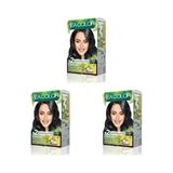 SEA COLOR Amonyaksız, Vegan, Doğal, Besleyici Kalıcı Saç Boyası%100 Beyaz Kapama (1 PAKET 2 x 50 ml Boya & OKSİDAN)(Siyah 1.0) (3 paketi)