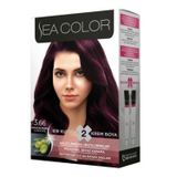 Sea Color Kit 3.66 Patlıcan Moru 4'lü Saç Boyası