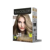 Sea Color Sac Boyasi Set 8.1 Kullu Acik Kumral