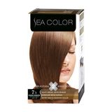 Sea Color Set 7.3 Fındık Kabuğu 3 Adet Saç Boyası