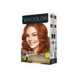 Sea Color Set Saç Boyası 8.45 Tarçın Bakır