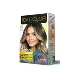 Sea Color Set Saç Boyası 9.1A Ombre Cilası