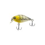 Sea Horse Fans Crank 3,6 Mm 3,8 Gr Nest Shrimp