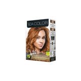 seacolor KALICI AKMAYAN SAÇ BOYASI 2 ADET BOYA+OKSİDAN+ELDİVEN+BAKIM KREMİ