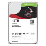 Seagate 12TB Ironwolf Nas Sabit Disk