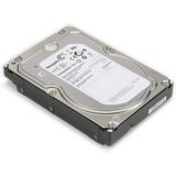 Seagate Bir St4000nm0023 4 Tb 7200 Rpm 128 Mb Önbellek Sas 6.0 Gb/S 8,9 Cm Dahili Sabit Disk Yenilenmiş Ürün