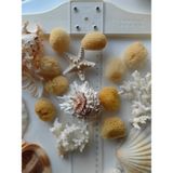 Seashell Rio Deniz Süngeri / 1 Adet / 3 - 5 cm