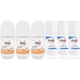 Sebamed Balsam Hassas Sensitive 50 ml Deodorant Roll-On ve Fresh 50 ml Roll-On 6'lı Set