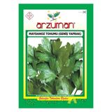 Sebze Geniş Yaprak Maydonoz Tohumu 25 gr TG-TH0020A