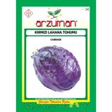Sebze Kırmızı Lahana Mor Tohum 10 Gr