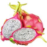 Sebze Meyve Dünyası Ejder Meyvesi -Pitahaya 1 Adet
