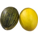 Sebze Meyve Dünyası Kavun Kırkağaç (Kg) - 4 kg