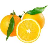 Sebze Meyve Dünyası Portakal Finike (Kg) - 1 kg