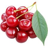 Sebze Meyve Dünyası Vişne 1 kg