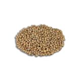 Sebze Tohumları Yerli Soya Fasulyesi Tohumu 100 gr BKSFST001C