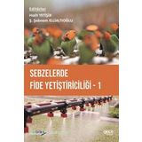 Sebzelerde Fide Yetiştiriciliği 1