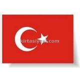Seçkin 056 70CMX105CM Alpaka Türk Bayragi