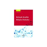 Seçkin Birleşik Krallık Bilişim Hukuku Dr. Metin Turan 1. Baskı, Mart 2025 - yok - Beyaz