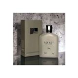 Secret Milano Silver EDC 100 ml Erkek Parfümü