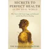 Secrets to Perfect Health in the Real World: Why You're Still Tired, Foggy, and Inflamed and the Real Path to Healing