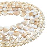 Sedef Kabuk Kalp Şekli Boncuk Çok Renkli 4-15mm DIY(Brown,8mm around 23beads)
