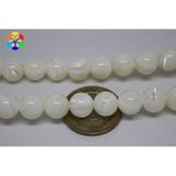Sedef Taşı 10Mm/Adet (Beyaz)