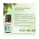 Sedir Ağacı Uçucu Yağı 10 ml | Cedarwood Atlas Oil | Odunsu Kokusu ile Rahatlatıcı | Aromaterapi ve Difüzör Için Saf Yağ