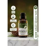 Sedir Ağacı Uçucu Yağı %100 Saf Saç Güçlendirici Kepek Önleyici Cedarwood Oil 50 Ml Pura Morena