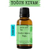 Sedir Ağacı Yağı - 10 ml (Seyreltilmemiş, Doğal Uçucu Yağ) - 100 ml