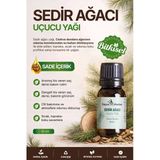 Sedir Ağacı Yağı (Cedrus Atlantica) / 10 Ml